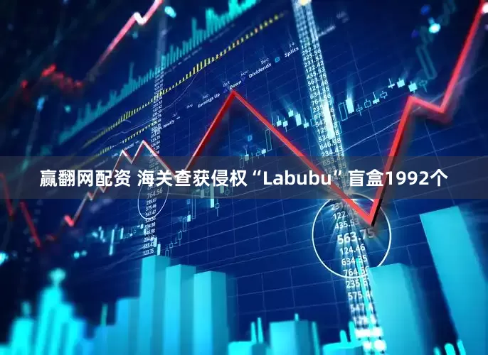 赢翻网配资 海关查获侵权“Labubu”盲盒1992个