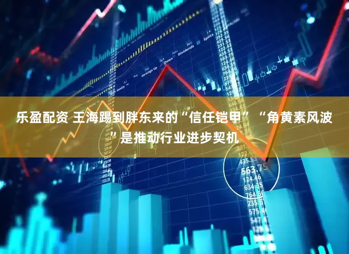 乐盈配资 王海踢到胖东来的“信任铠甲” “角黄素风波”是推动行业进步契机